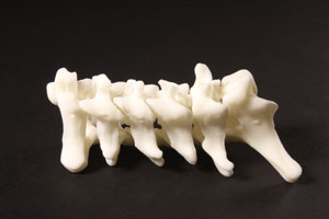 Materialise 3d image Materialise 3d image
