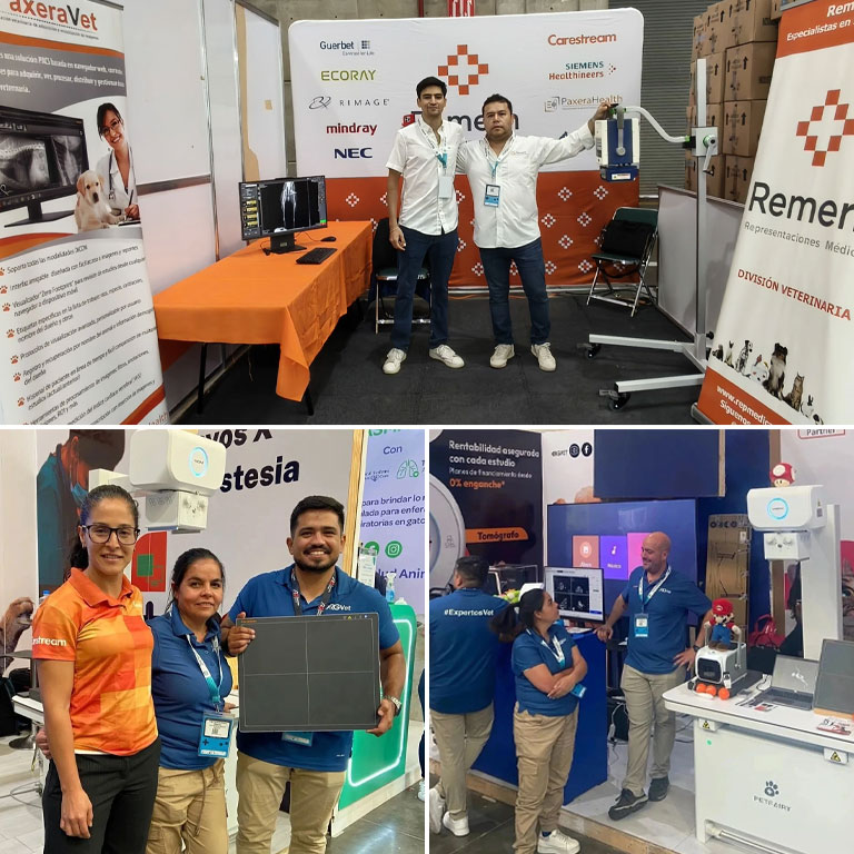 Recapping the León Veterinary Congress