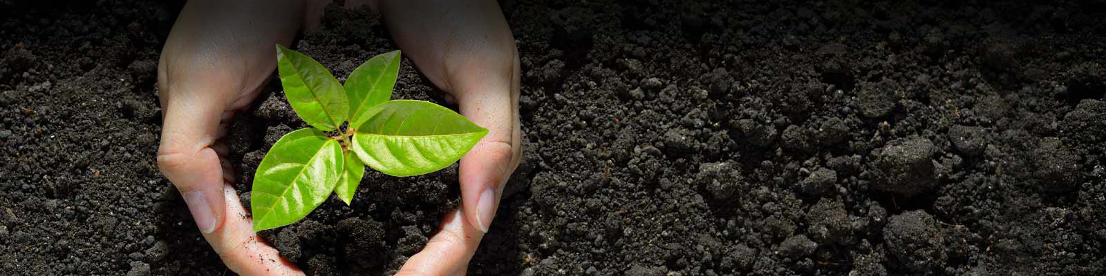 Environmental Health & Safety