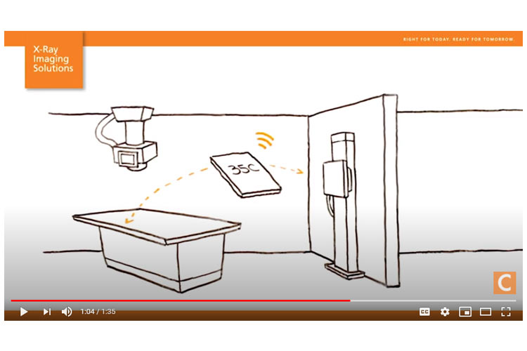 Focus 35C and 43C Detector Overview 2